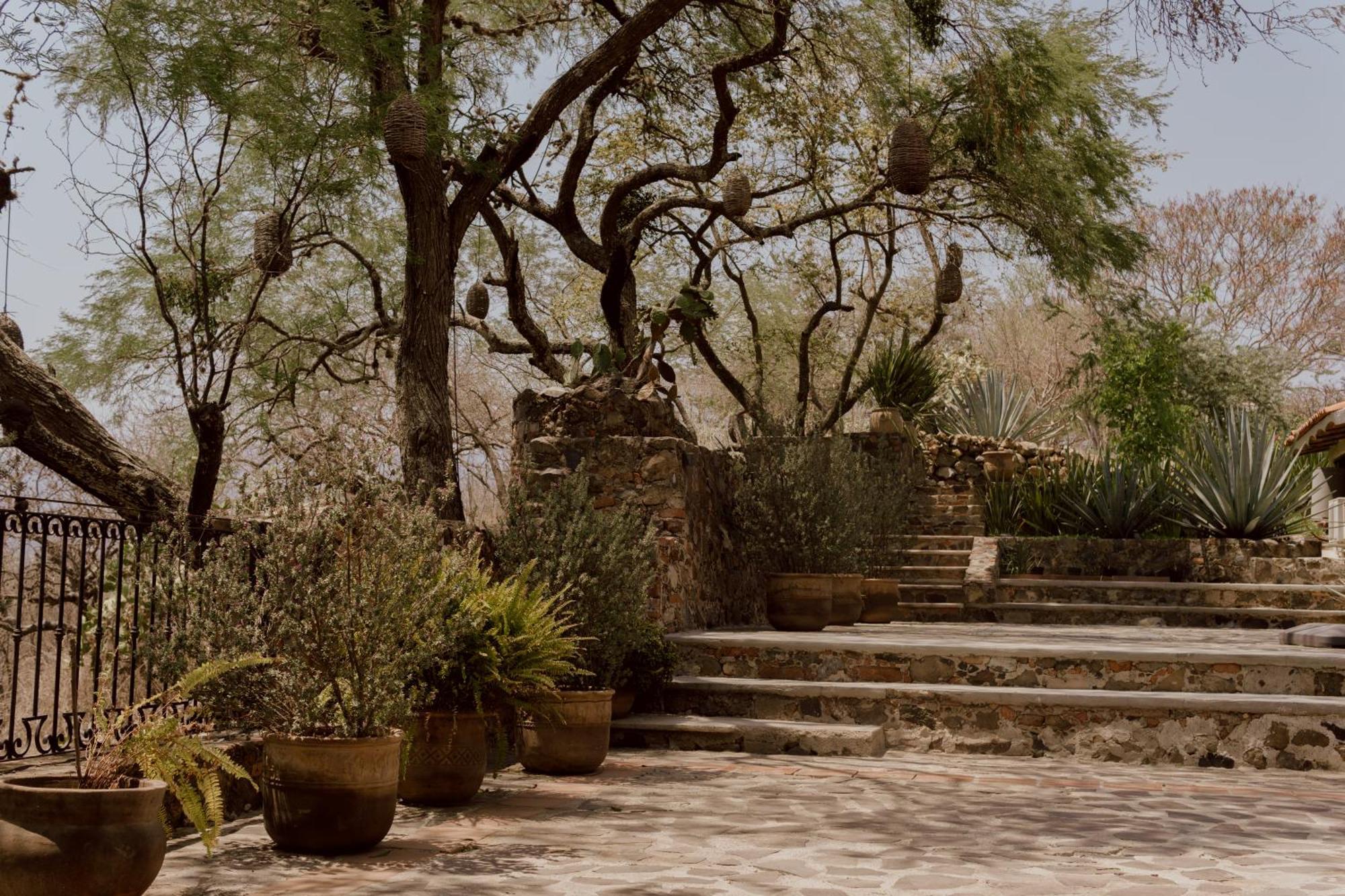 Hacienda San Nicolas De Las Fuentes Teuchitlán エクステリア 写真