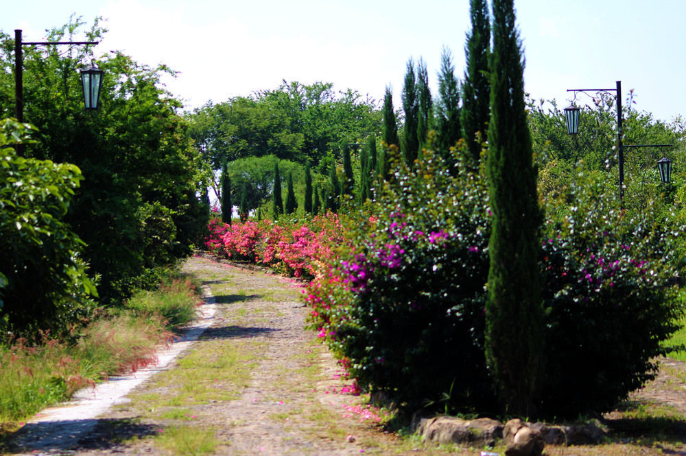 Hacienda San Nicolas De Las Fuentes Teuchitlán エクステリア 写真