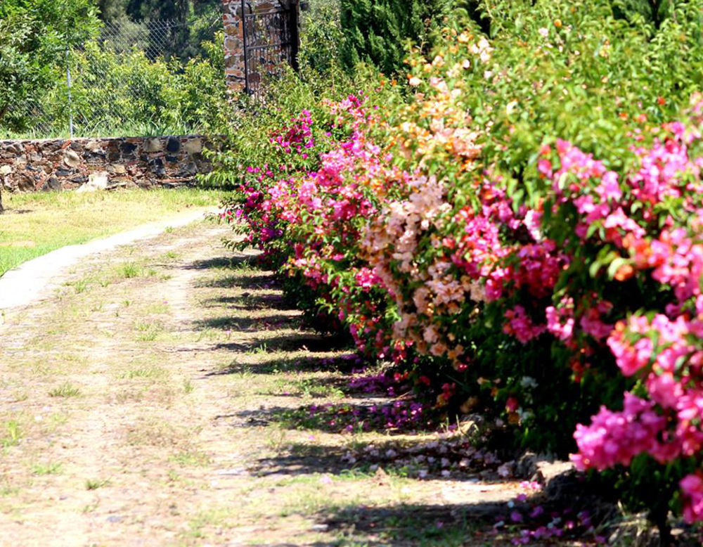 Hacienda San Nicolas De Las Fuentes Teuchitlán エクステリア 写真